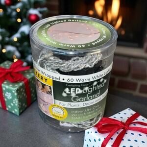 Everlasting Glow LED Garland 60 Lght Twinkle Warm White Gerson Plant Decor Timer